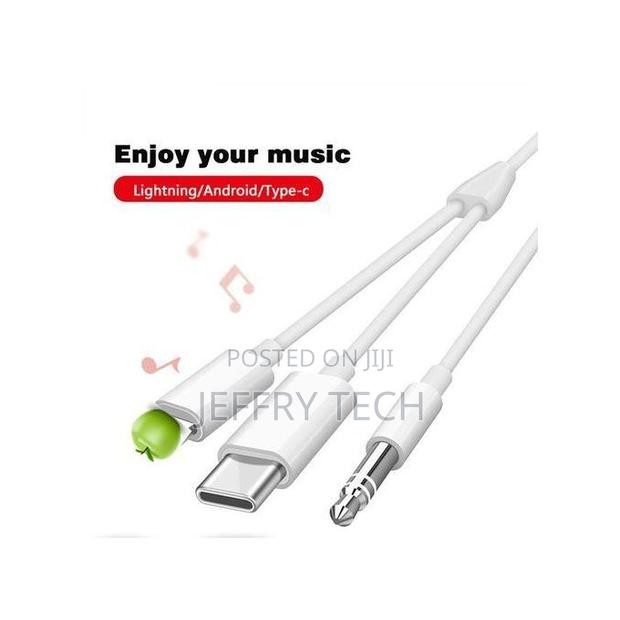 Type C and Lightning to 3.5mm Male Aux - thumbnail 2