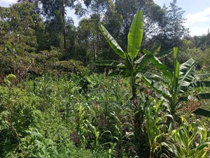 A Prime Residential 1/2 Acre at Ngong - Karen West