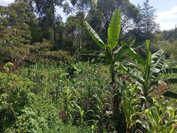 A Prime Residential 1/2 Acre at Ngong - Karen West