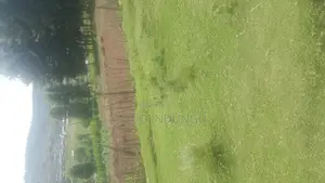 Mau Narok Town Centre 1/2 Acre