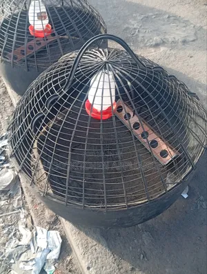 Best Quality Chicken Cage.