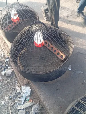 Best Quality Chick's Cage.