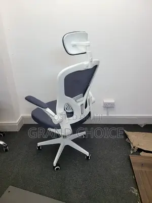 Ergonomic Office Chair