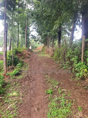 1 Acre in Katheri [ Nanyuki ]
