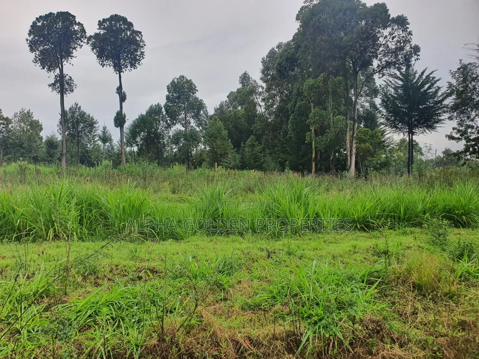 1 Acre in Katheri [ Nanyuki ]