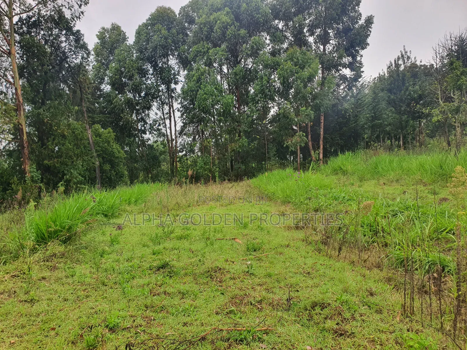 1 Acre in Katheri [ Nanyuki ]