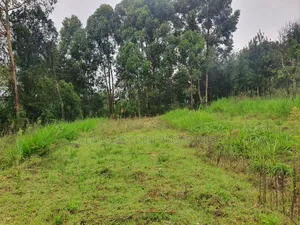 1 Acre in Katheri [ Nanyuki ]