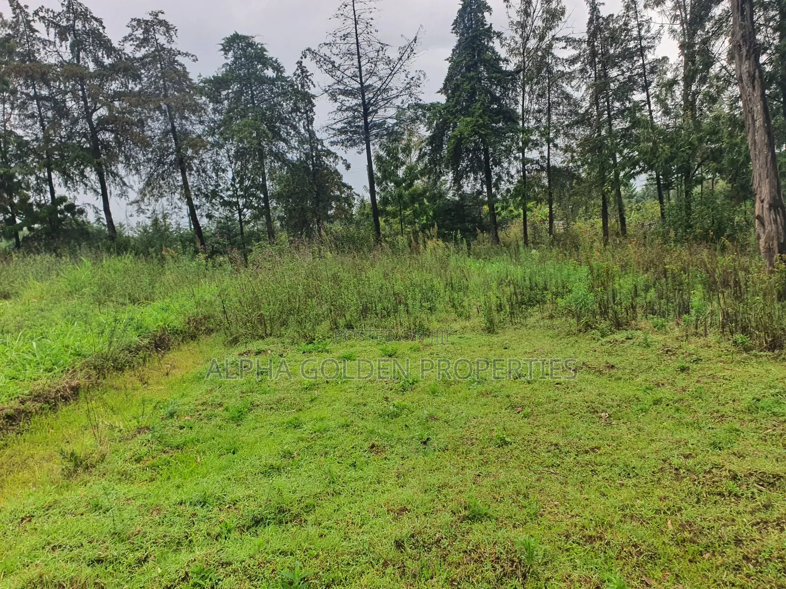 1 Acre in Katheri [ Nanyuki ]