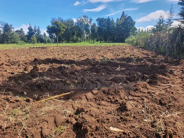 1/2 Acre in Nkando