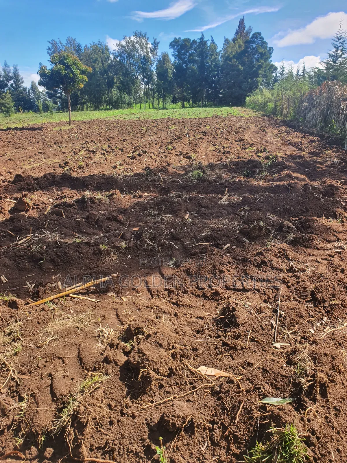 1/2 Acre in Nkando