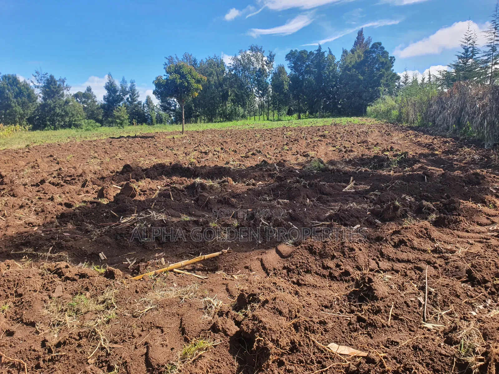 1/2 Acre in Nkando