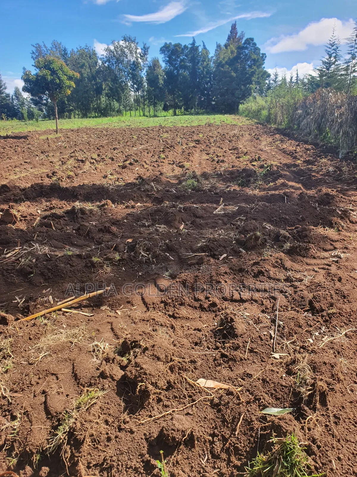 1/2 Acre in Nkando
