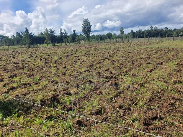 Nkando 1/2 Acre For Sale [ Nanyuki ]