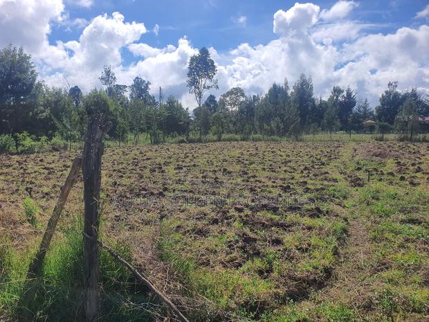Nkando 1/2 Acre For Sale [ Nanyuki ] - thumbnail 3