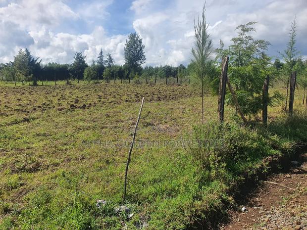 Nkando 1/2 Acre For Sale [ Nanyuki ] - thumbnail 4