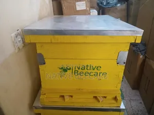 Langstroth Hive in Nairobi