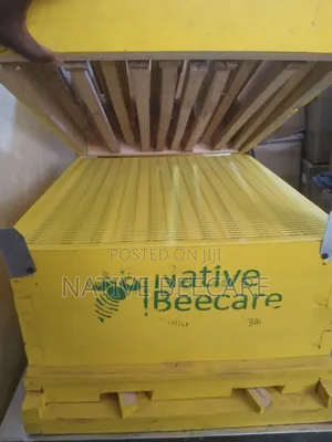 Langstroth Hive in Nairobi