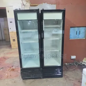 Display Chiller (300l)