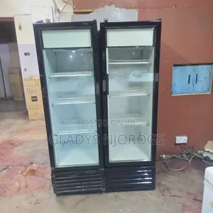 Display Chiller (300l)