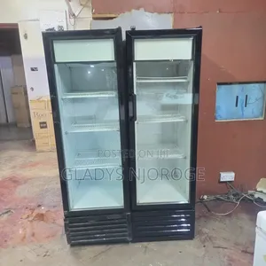 Display Chiller (300l)