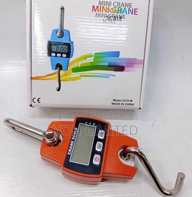 300kg Mini Crane Scale - main view