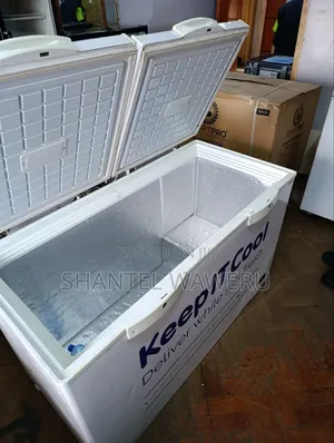 Double Door Freezer