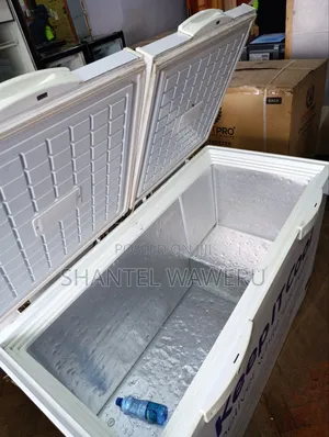 Double Door Freezer
