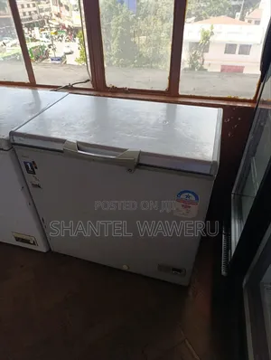 250 Litres Deep Freezer