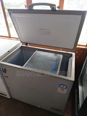 250 Litres Deep Freezer