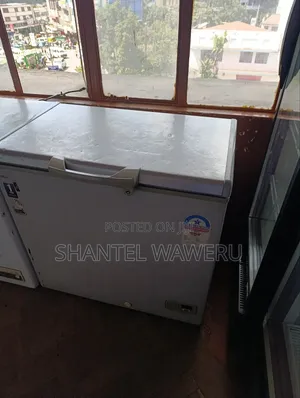250 Litres Deep Freezer