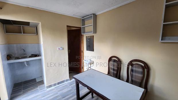 Studio Apartment in NkaiMurunya for rent - thumbnail 3