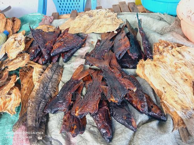 Your One Stop Fish Dealer - main view