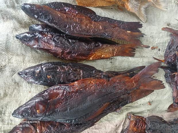 Your One Stop Fish Dealer - thumbnail 3