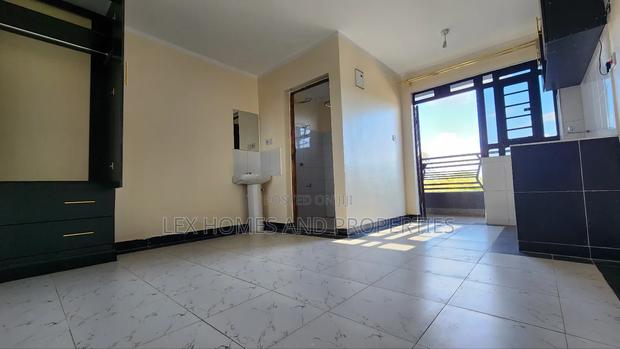 Studio Apartment in NkaiMurunya for rent - thumbnail 9