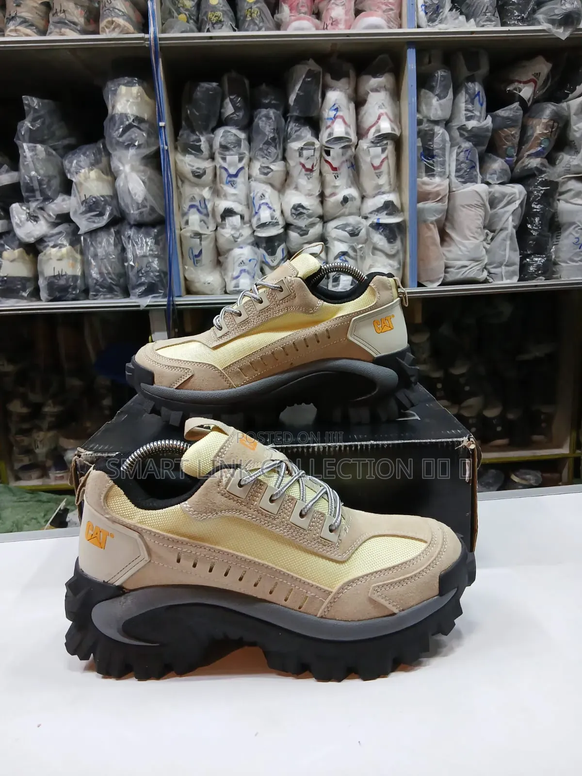 Cat Intruder Boots