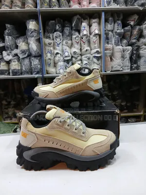 Cat Intruder Boots