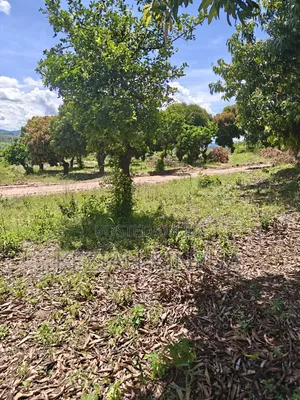 Zawadi Gardens Makuyu-Mananja PHS 4