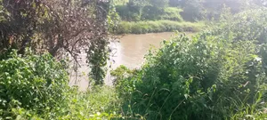 100 Acres of Land in Ngigiri Embu Touching Riverthiba Area Forfarming