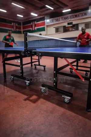 Professional Foldable Tennis Table