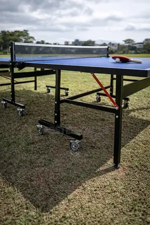 Foldable Ping Pong Table
