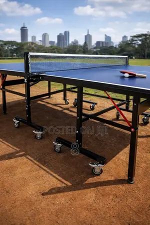 Portable Tennis Table Professional