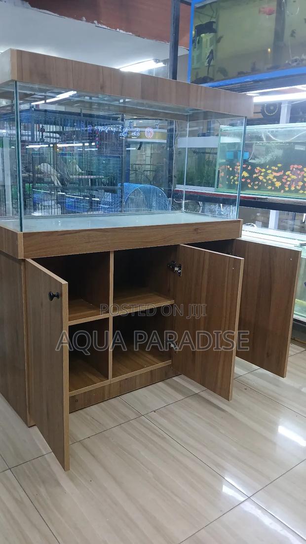 Fish Aquarium - main view