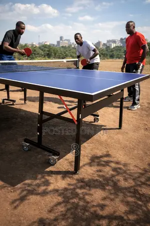 Competition Grade Table Tennis Table