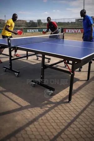 Premium Ping Pong Table for Home