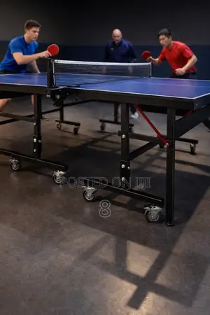Easy Storage Table Tennis Table