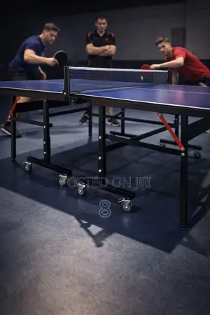 Portable Ping Pong Table With Net