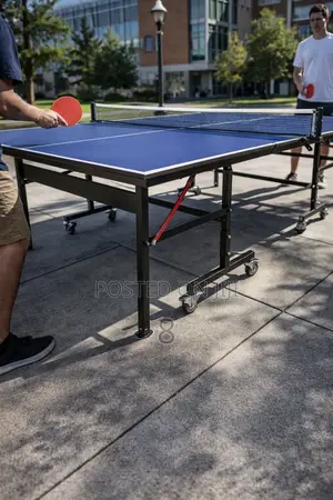 Best Professional Ping Pong Table
