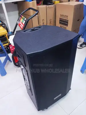 Globalstar Bz300, 15-Inch Hi-Fi Audio Speaker System.