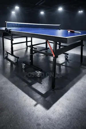Indoor Game Table Tennis Professional