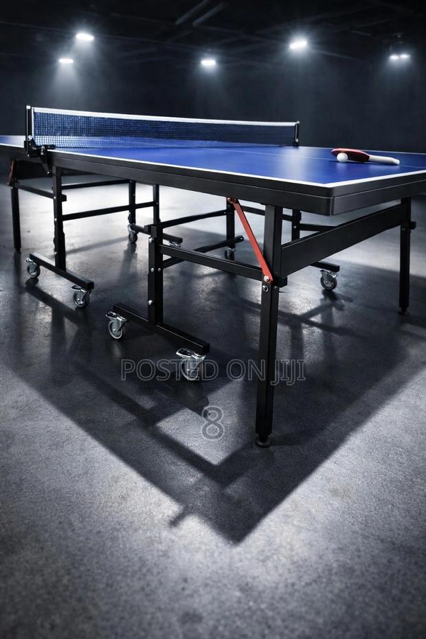 Indoor Game Table Tennis Professional